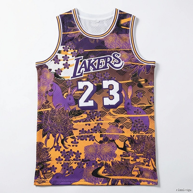 LBJ retro purple-orange basketball uniform